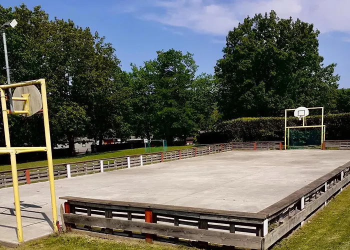 キャンプ場 Avec Piscine Et Emplacement Voiture Yvoir
